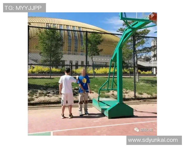 篮球明星案件引发的法律风波与公众舆论的深度解析与反思