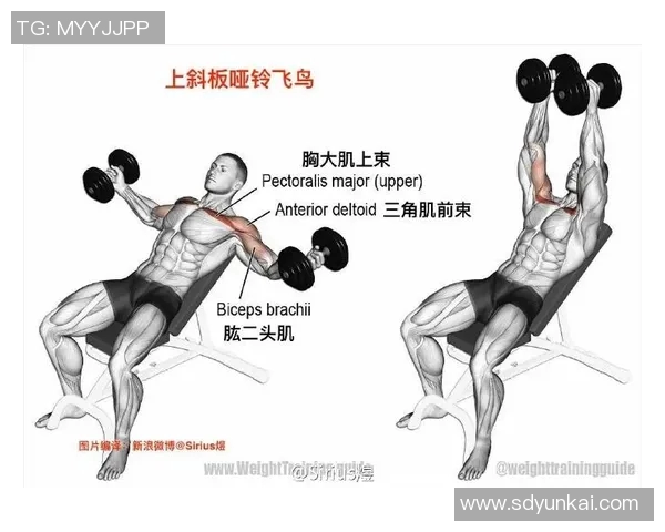 哑铃锻炼胸肌的有效方法与技巧视频教程分享