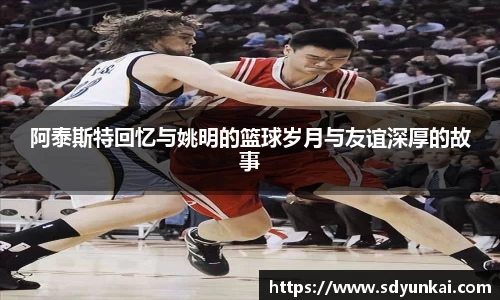 bsports体育