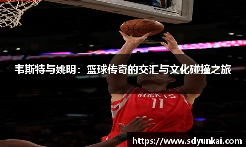 bsports体育