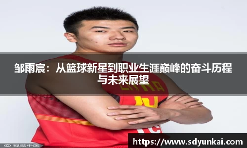 bsports必一体育